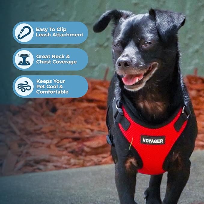 Voyager Step-in Pet Harness - All Weather Mesh, Adjustable Step in Harness for Cats and Dogs by Best Pet Supplies - Red/Black Trim, M
