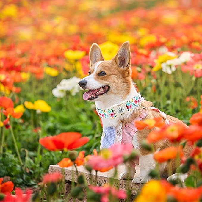 Elegant little tail Dog Collar, Pink Floral Print Pink Puppy Male Adjustable Cotton Pet Collar with Quick Release Buckle for Small Medium Large Dogs