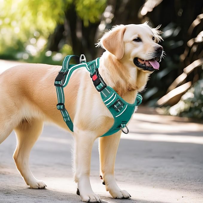 Timos Dog Harness Large Sized, No Pull Pet Harness with Neck Lockable Snap, No Choke Front Clip Reflective Vest, Adjustable Metal Rings 3 Buckles, Easy Control Handle for Large Dogs Grass Green L