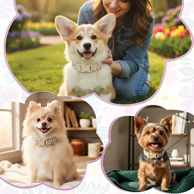 Cotton Dog Collar with Colorful Flowers for Spring Summer, Adjustable Puppy Dog Collars for Small Medium Large Dogs, Cute Girl Boy Dog Collar Ideal for Gifts,Pet Accessory,S