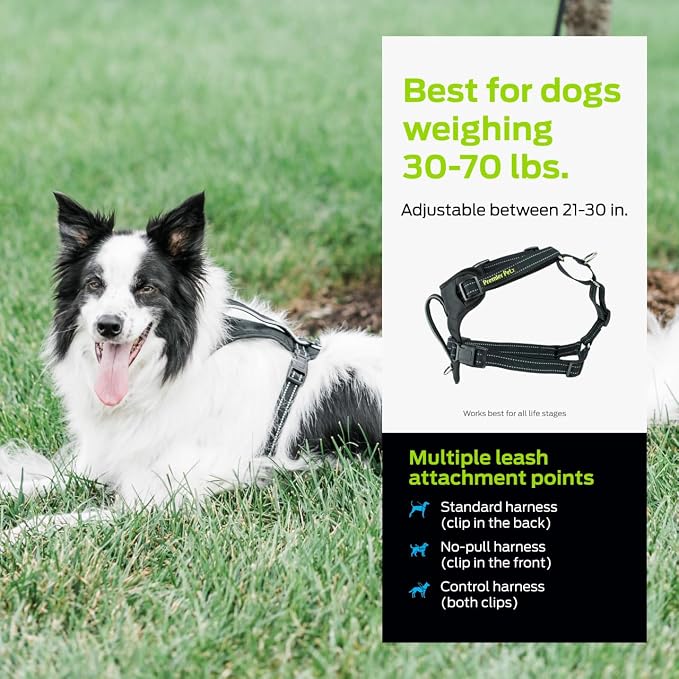Premier Pet No Pull Comfort Harness - Reduces Pulling for Better Walks - Adjustable Fit with 4 Points - Soft Padded Design for Comfort - Reflective Stitching for Safety - Easy to Use Everyday - Medium