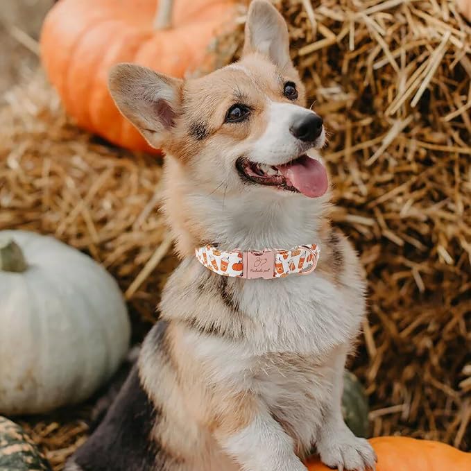 Fall Dog Collar for Large Dogs - Fall Holiday Pumpkin Latte Printed Dog Collars, Adjustable Heavy Duty Pet Thanksgiving Collar with Metal Buckle L