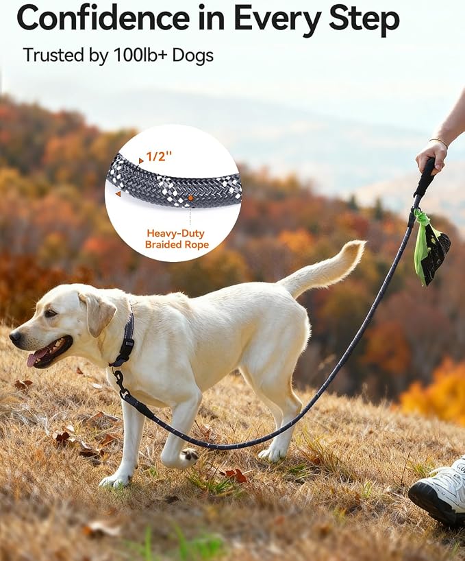 Joytale Dog Leash for Large Dogs, Heavy Duty Nylon Leashes with Comfortable Padded Handle and Highly Reflective Threads, Ideal for Walking and Training, Gray, 5'×1/2''