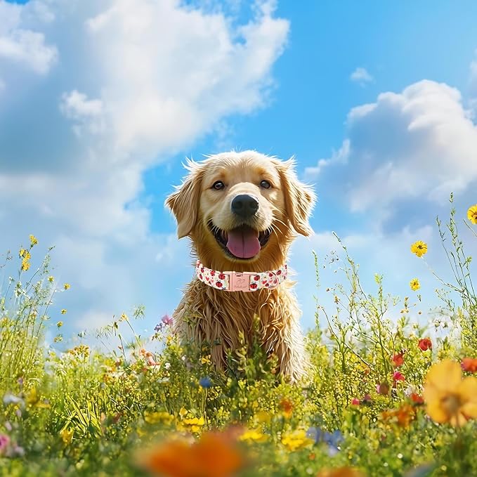 Cute Dog Collar for Puppy Small Dogs - Red Ladybug & Blooms Dog Collars, Adjustable Heavy Duty Pet Collar for Dog Moms & Kids with Metal Buckle XS