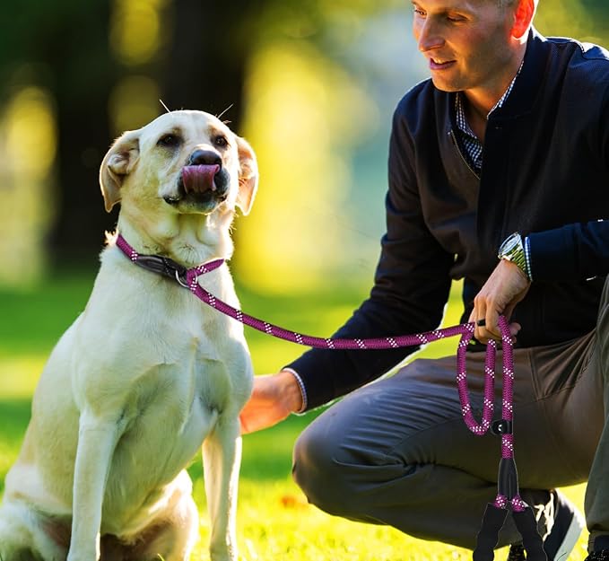 Dog Leash 6 FT, Durable Premium Quality Strong Training Rope Slip Leash with Comfortable Padded Handle and Highly Reflective Threads for Small Medium and Large Dogs, (Wine Red)