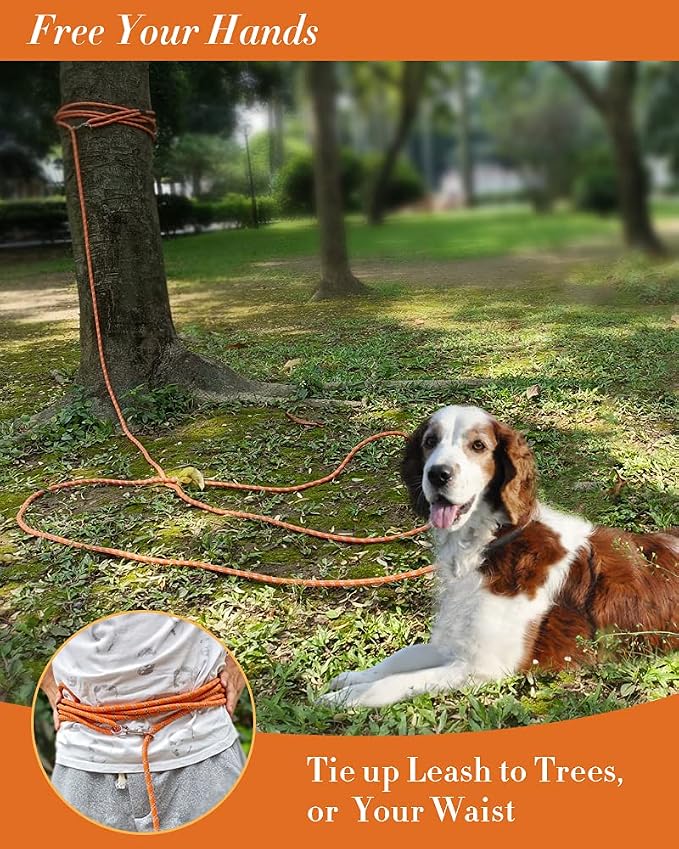 Long Rope Leash for Dog Training 16FT 30FT 50FT 100FT, Reflective Threads Check Cord Recall Training Agility Dog Lead for Large Medium Small Dogs, Dog Tie-Out Cable for Playing, Camping, or Backyard