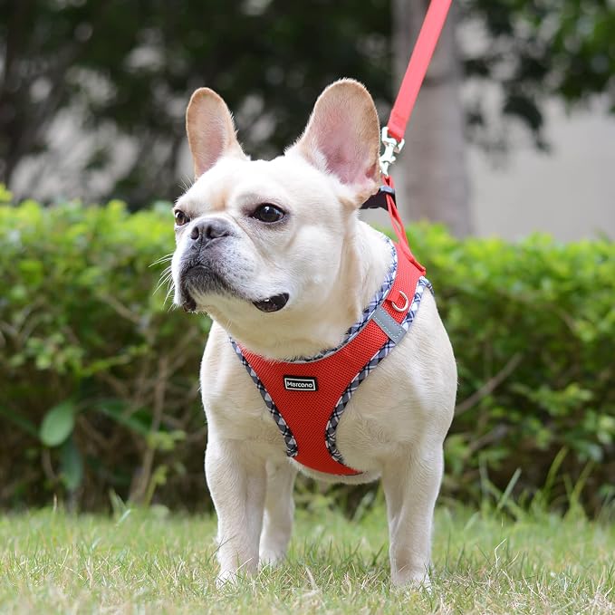 Mercano Soft Mesh Dog Harness and Leash Set, Step-in Reflective Breathable Lightweight Vest Harnesses with Safety Buckle for Small Dogs, Cats (Red, XL)