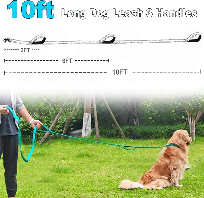 3 Handle Dog Leash, 10FT Triple Handle Dog Leash Heavy Duty with Reflective Stitching, Padded Traffic Handles for Training, Control & Safety - Teal
