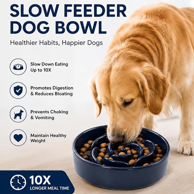 Slow Feeder Dog Bowls, Ceramic Slow Feeding Bowl for Small and Medium Breed, Anti Choking Puzzle Dog Food Bowl with Non-Slip Base for Fast Eater (Blue, S-0.6CUP)