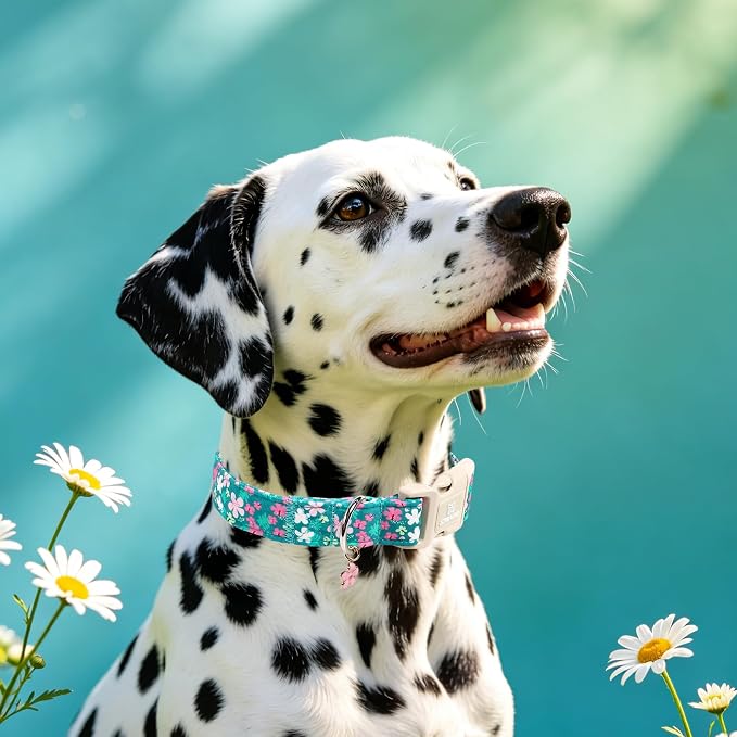 Maca Bates Spring Green Floral Dog Collar with Cherry Charm for Large Girl Boy Dogs, Pink Flower Pattern,Pretty Blossom Adjustable Durable Soft Flowers Collars Gift for Male Female Puppy