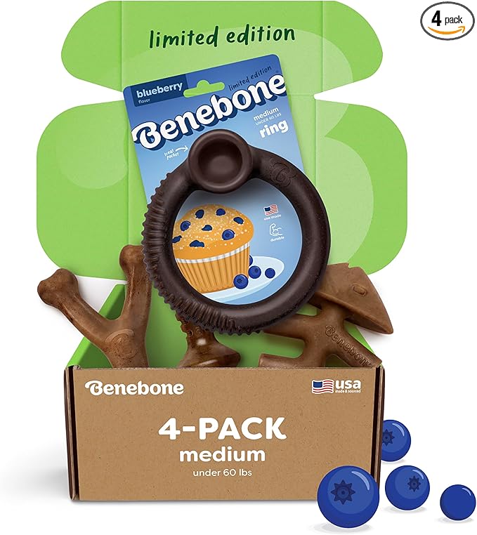 Benebone Limited Edition Blueberry Medium 4-Pack Dog Toys for Aggressive Chewers, Durable Dog Bones, Made in USA, Dog Toys for Medium Dogs Under 60 lbs