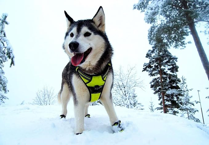 TRUE LOVE Adjustable No-Pull Dog Harness Reflective Pup Vest Harnesses Comfortable Control Brilliant Colors TLH5651(Neon Yellow,S)