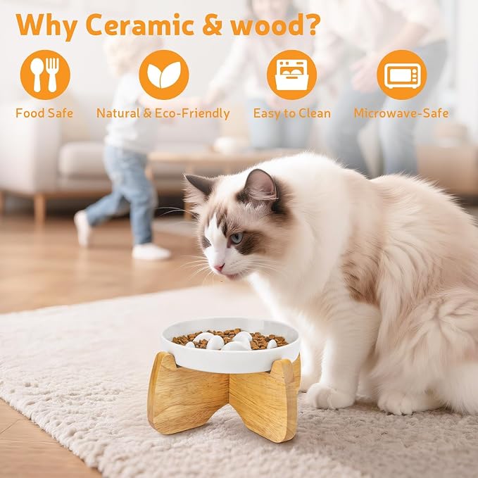 Raised Slow Feeder Cat Bowl with Stand, 6.3'' Wide Ceramic Elevated Shallow Slow Eating Cat Bowl for Dry/Wet Food, Anti-Vomiting Pet Puzzle Feeder, Whisker Friendly, Dishwasher Safe (White)