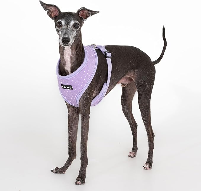 Puppia Dotty Dog Harness A (Over-the-Head) Fashionable Polka Dot Pattern Spring Summer Harness for Small Dogs, Violet, X-Small