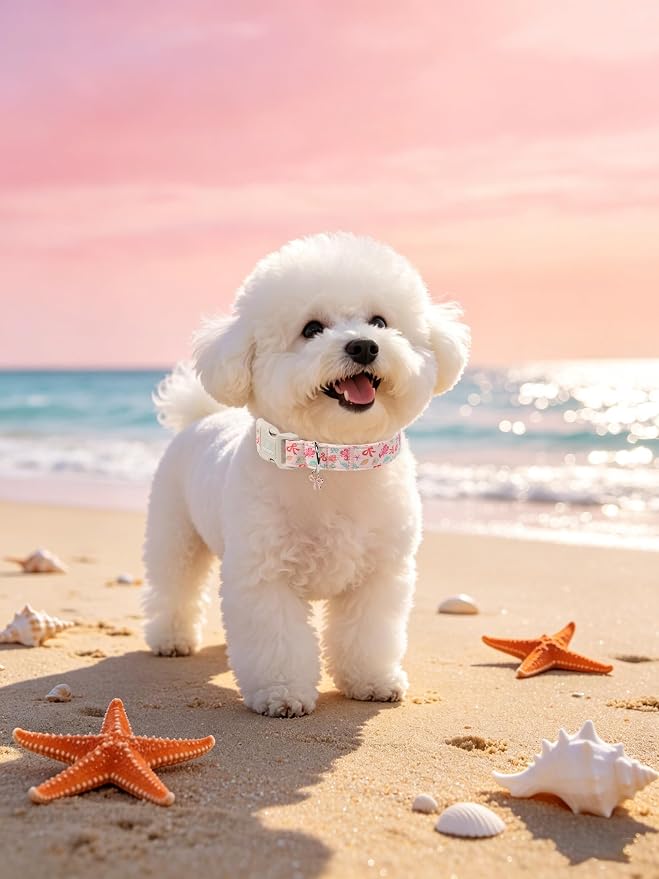 Maca Bates Summer Shell Basic Dog Collar Beach Puppy Collars for Medium Dogs Adjustable Durable Soft Comfortable Blue Sharks for Boy Girl Male Female Pet with White Safety Buckle