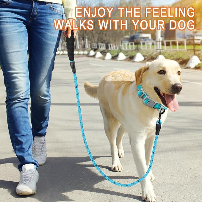 BARKBAY Dog Leashes for Large Dogs Heavy Duty Dog Leash 2 Pack 5 FT with Comfortable Padded Handle Highly Reflective Threads for Medium Large Dogs Walking Training Running (5FT-1/2,Blue+Black)