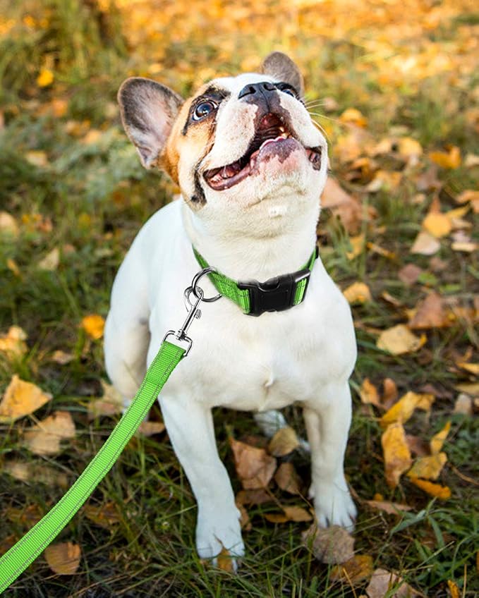 FunTags Length 10" - 16" Reflective Green Dog Collar for Small Dogs – Night Walking & Training Safety, Durable Quick Release Buckle, Nylon, Comfortable Adjustable, Width 3/4"