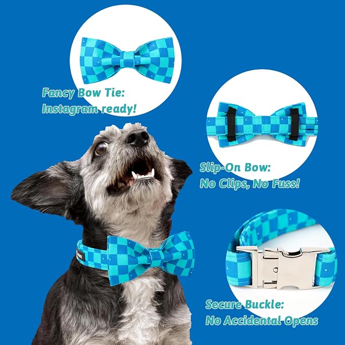 Maca Bates Blue Checkered Dog Collar with Bow Tie Plaid Puppy Bowtie Collars Fancy Gingham Collar for Summer Adjustable Durable Soft Breakaway for Boy Male Gentleman Dogs Pet,Small