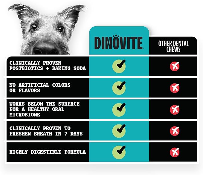Dinovite Dental Chews for Dogs, Triple Action Dental Dog Treats for Large Breeds, Clinically Proven to Prevent Plaque & Tartar While Freshening Breath, Fresh Mint Flavor, Made in USA, 16 Count