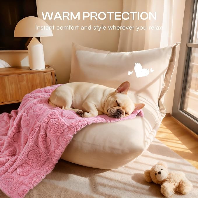 Luciphia 1 Pack 2 Small Dog Blanket Washable Pet Bed Cover Soft Fluffy Puppy Blanket with Premium Fleece 300GSM Cozy Calming Cat Blankets for Indoor Cats Pink/Purple 30x20 inch