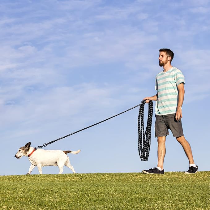 Long Dog Leash for Training 15Ft-Reflective Nylon Rope with Swivel Hook-Recall Agility Lead for Large Small Medium Dogs Outside Walking Hiking-Black