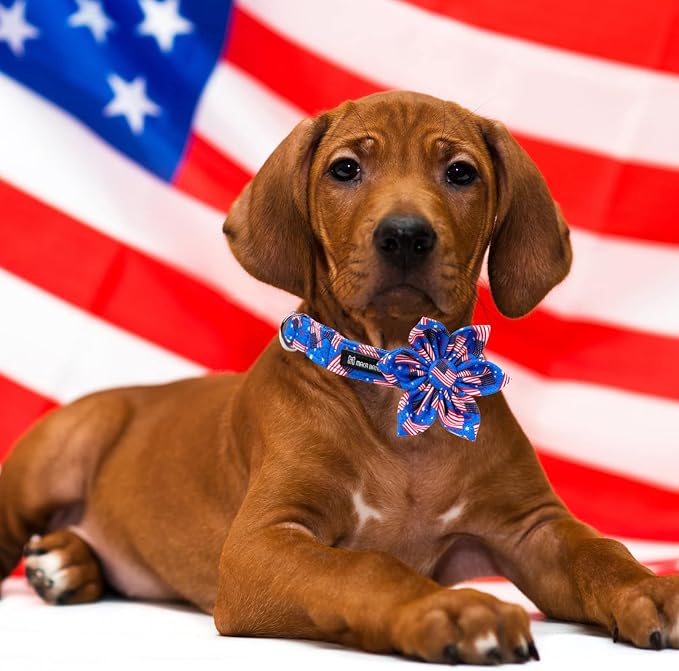Maca Bates American Flag 4th of July Dog Collar with Flower Bow 4 of 7 for Dogs Adjustable Durable Flags Patriotic USA Collars Summer Independence Day for Small Medium Large XL Boy Girl Puppy