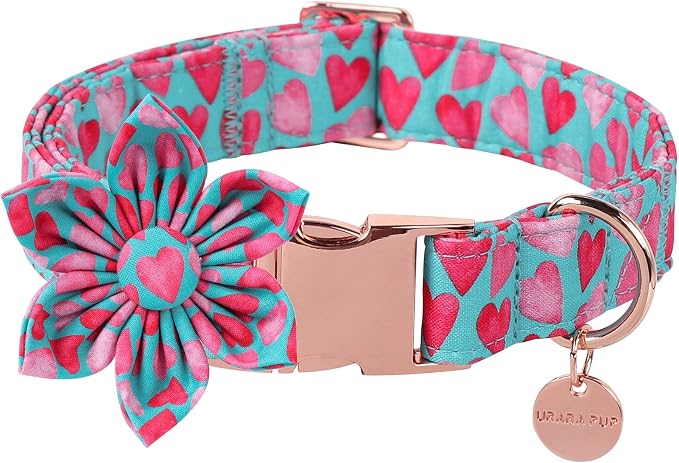 Valentine Dog Collar with Flower, Heart Flower Collar for Puppy Girl Boy Dog or Cat, Comfortable Dog Collar Flower with Durable Metal Buckle, Cute Pet Collar, M, Neck 13.5-22in