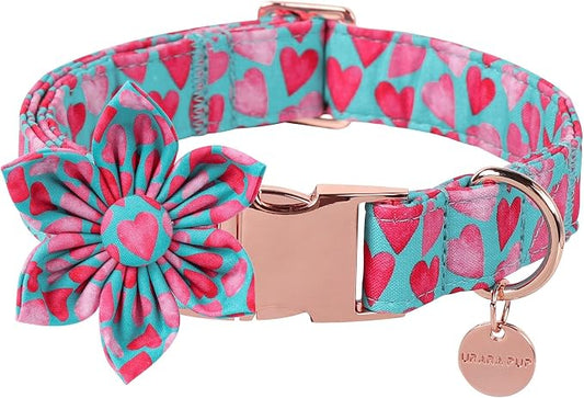 Valentine Dog Collar with Flower, Heart Flower Collar for Puppy Girl Boy Dog or Cat, Comfortable Dog Collar Flower with Durable Metal Buckle, Cute Pet Collar, M, Neck 13.5-22in