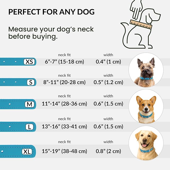 CollarDirect Reflective Rolled Leather Dog Collar, Soft Padded Round Puppy Collar, Handmade Genuine Leather Collar Dog Small Large Cat Collars 13 Colors (11-14 Inch, Light Blue Reflective)