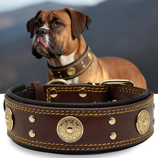 Genuine Leather Dog Collar for Large Dogs,2 in Wide Heavy Duty,BN-GD-S | Handmade,Stainless Steel Pin Buckle,Soft Padded,Alloy Studded,Luxury Eye-catching Design,Medium Large Giant Breeds,15-19 in