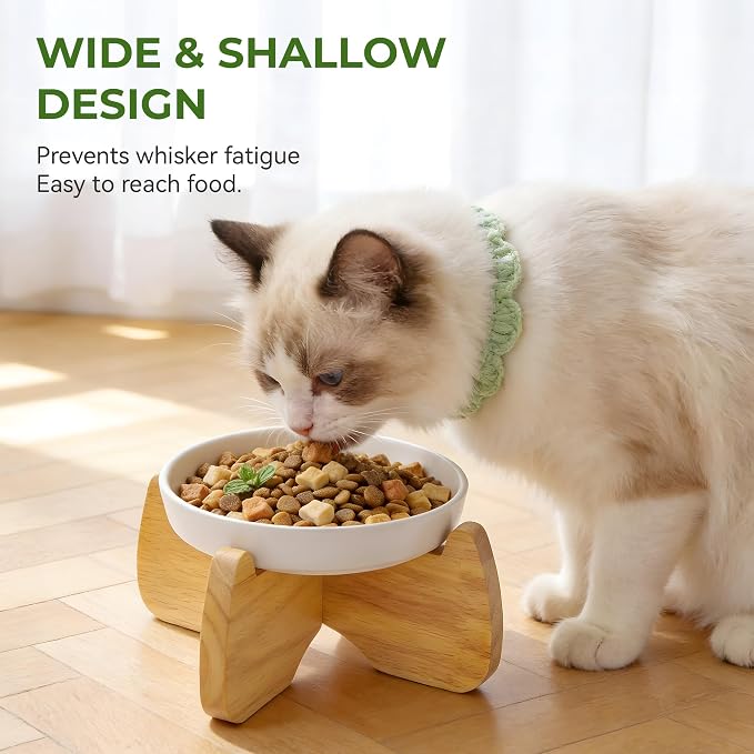 Raised Cat Bowl, 6.3'' Wide Shallow Elevated Cat Food Bowl, Ceramic Anti Vomit Pet Feeder with Stand, Anti Whisker Fatigue Neck Protective Feeding Dish for Kittens & Seniors (1 Pack)