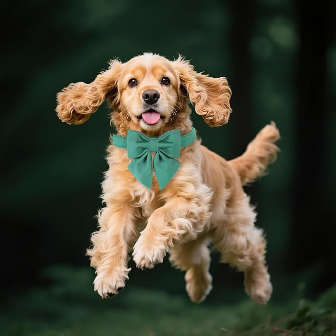 Maca Bates Jade Green Dog Collar with Cute Solid Sailor Bow Tie for Small Girl Boy Dogs,Adjustbale Durable Breakaway Soft Collars with Bowtie for Female Male Puppy,Pet with Metal Buckle