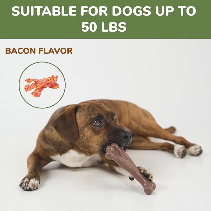 SPOT Bam-Bones Wishbone Dog Chew Toy, Bamboo Fiber Blend, Non-Splintering Durable Chew for Light to Moderate Chewers, Adult Dogs & Teething Puppies 25–50 lbs, Bacon Flavor, 7 in