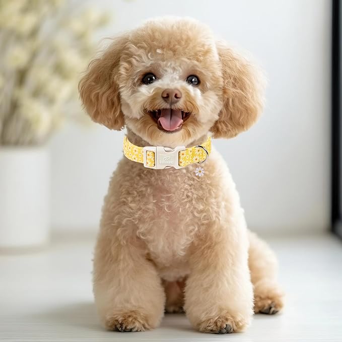 Yellow Daisy Dog Collar Cute Summer Dog Collars for Giant Large Dogs - Lightweight Adjustable Girly Floral Female Dogs Everyday Collar with Safety Buckle XL