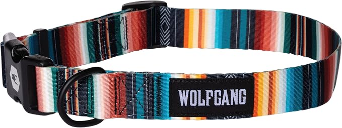 Wolfgang Heavy Duty, Adjustable Dog Collar with Quick Release Nylon Buckle for Walking & Training, LostArt Print, Medium