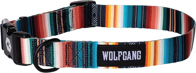 Wolfgang Heavy Duty, Adjustable Dog Collar with Quick Release Nylon Buckle for Walking & Training, LostArt Print, Small