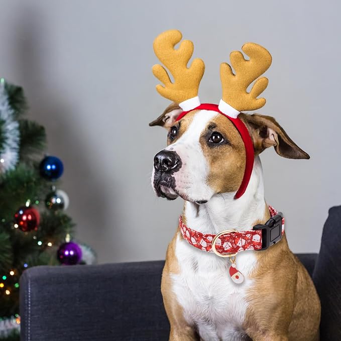 Faygarsle Red Dog Collar Christmas Design Santa Claus Pattern for Small Medium Large Dogs Collar Cute Stylish Girl Boy Christmas Dog Collar XS