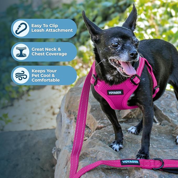 Best Pet Supplies Voyager Adjustable Step-in Flex Breathable Mesh Dog Harness for Small Medium Large Dogs (Fuchsia), XS