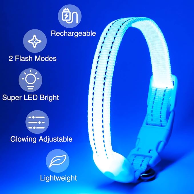 Light Up Dog Collar, Rechargeable USB Collar, Waterproof, Luminous LED Collar, Adjustable, Super Bright, Night Walking for Small Medium Large Dogs, Blue, S