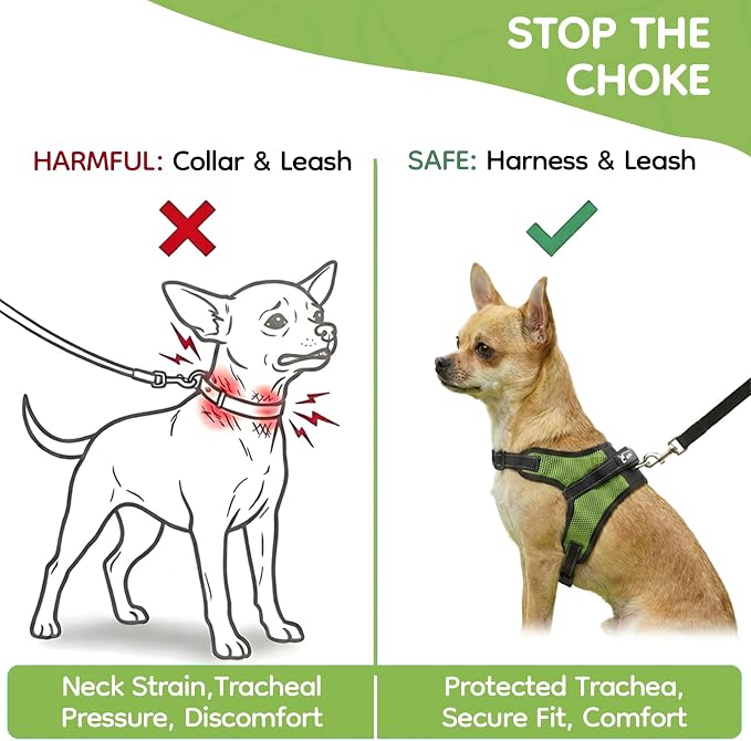 No Pull Reflective Adjustable Dog Harness with Handle- Comfortable Soft All Weather Mesh, Easy On Puppy Harness for Small Medium and Large Dogs (Green) X-Small