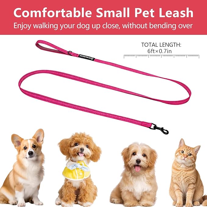 Reflective 6 FT Dog Leash, Premium Traditional Style Puppy Leash with Easy to Use Collar Hook for Small, Medium, and Large Breed Puppies (Rose Red, 3/4 in x 6 ft)