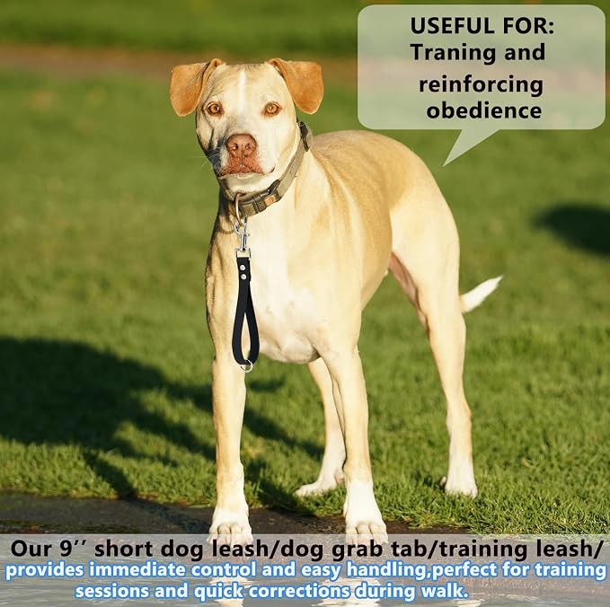 Short Dog Leash - 9 Inch Dogs Lead Grab Tab Heavy Duty Waterproof PVC Dog Training Traffic Leashes for Safety Control Behavior Correction Hiking Backup & All Breeds(Tea Green, 9'')