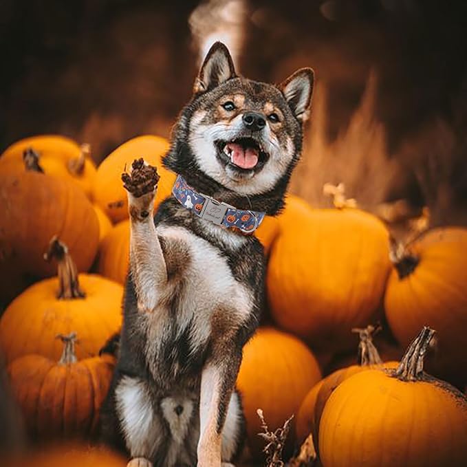 Halloween Dog Collar for Small Dogs - Cute Halloween Ghost Pumpkin Dog Collars, Adjustable Heavy Duty Pet Holiday Collar with Metal Buckle S