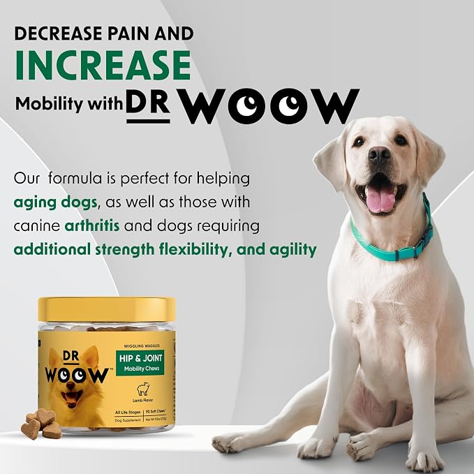 Hip & Joint Supplements for Dogs Soft Chews (90 CT) – Mobility Support + Joint Comfort & Flexibility – Glucosamine + MSM – Made in USA