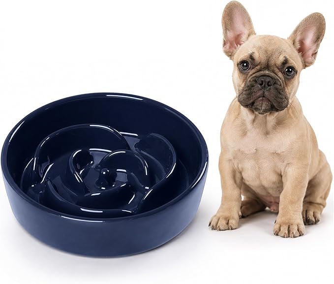 Slow Feeder Dog Bowls, Ceramic Slow Feeding Bowl for Small and Medium Breed, Anti Choking Puzzle Dog Food Bowl with Non-Slip Base for Fast Eater (Blue, S-0.6CUP)
