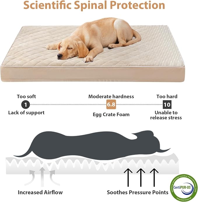 WNPETHOME Orthopedic XL Dog Bed for Crate, Waterproof Extra Large Dogs Bed with Removable Washable Cover, Multi-Needle Quilting Dogs Crate Bed