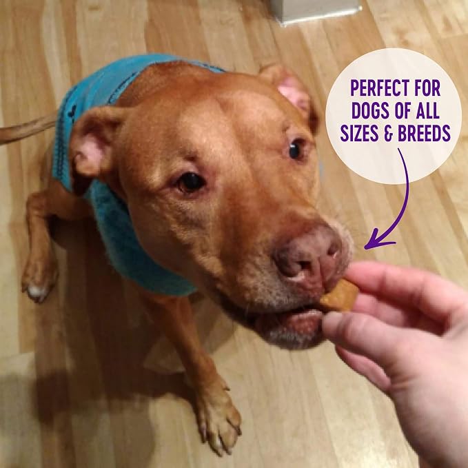 Wellness WellBars Crunchy Dog Training Treats, Natural, Grain Free, Yogurt, Apples and Banana Recipe, 45 oz Bag