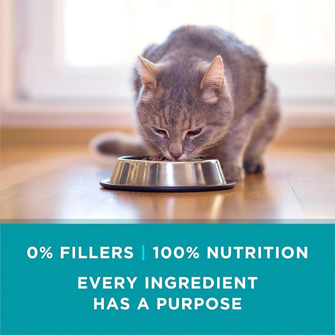 Purina ONE Natural High Protein Cat Food, Chicken Recipe in Wet Cat Food Gravy - (Pack of 48) 3 oz. Pull-Top Cans