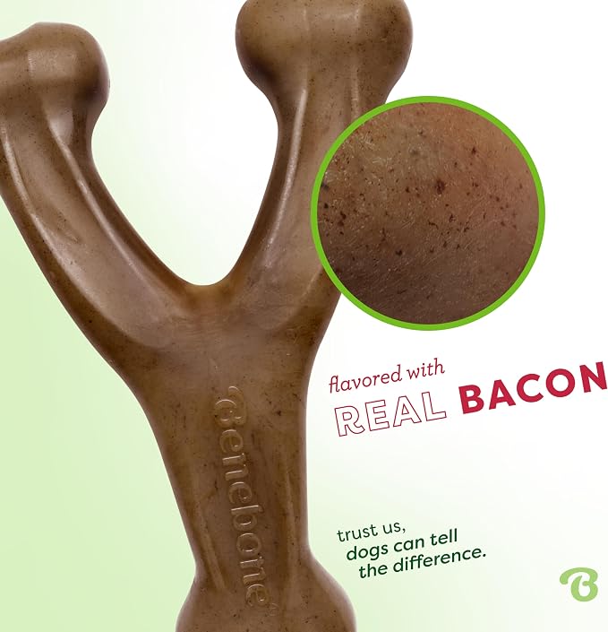 Benebone 2-Pack Wishbone Durable Dog Chew Toy for Aggressive Chewers, Real Bacon Made in USA, Small