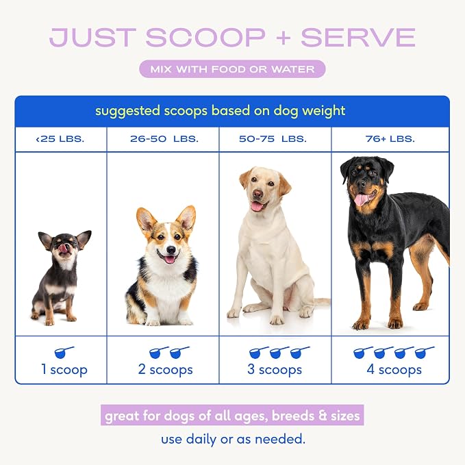 Native Pet Goat Milk Powder - Dog Food Topper for Active Dogs - Post-Activity Recovery, Energy, Immune Support, Hydration & Bone Health - Whole Goat Milk with MCTs & Essential Minerals - 120 Scoops